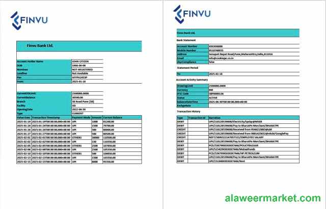 India Finvu Bank Ltd. account statement Word and PDF template, 2 pages